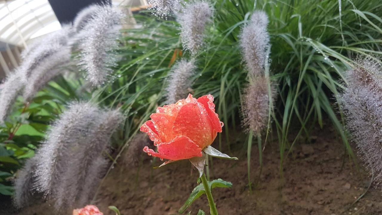Les Gites Du Haut Pin Calorguen Zewnętrze zdjęcie
